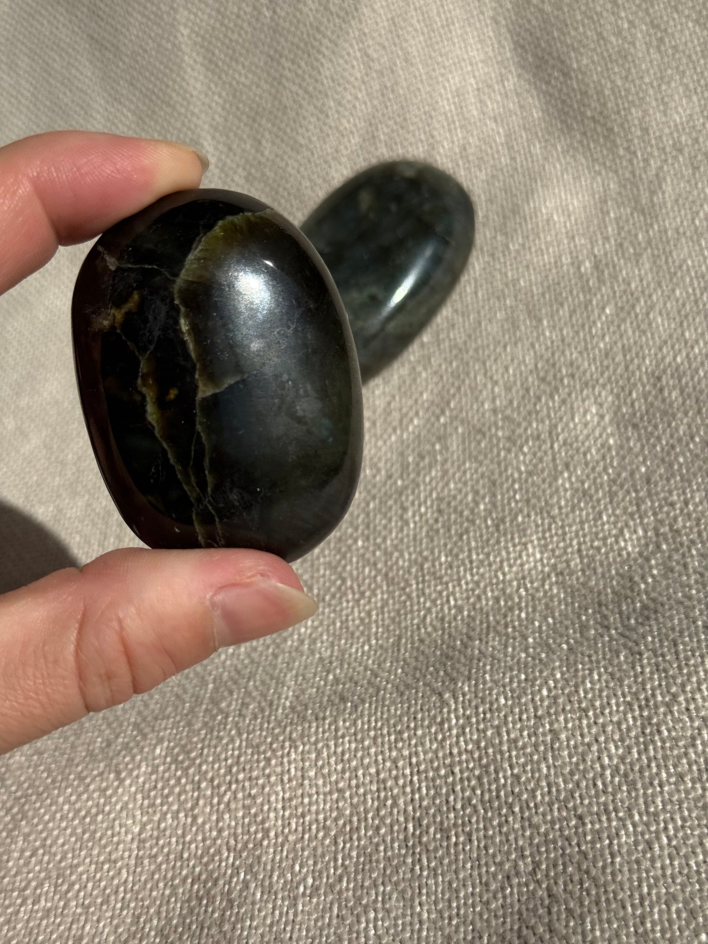 Protect My Energy Kit