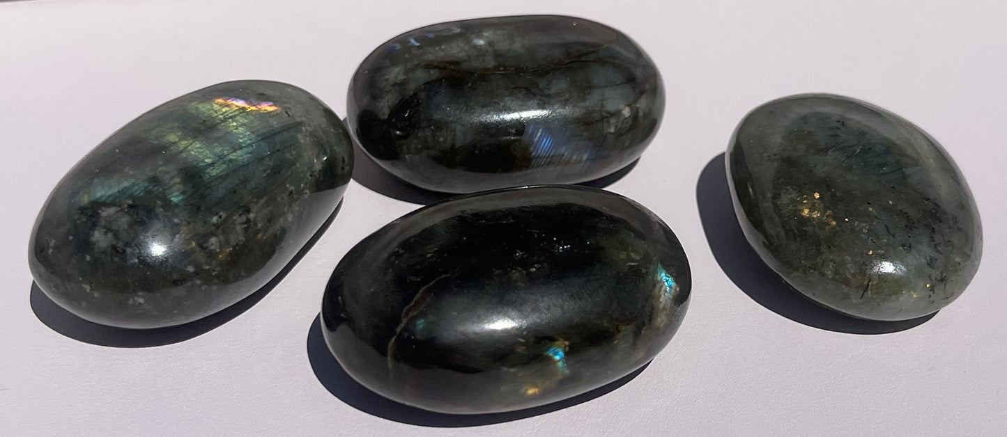 Protect My Energy Kit